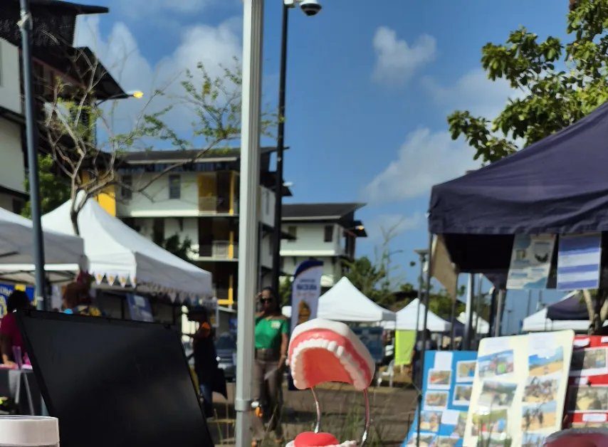 L'avenue Pripri à Soula pendant la Fête des Associations : tentes, immeubles colorés et stand de GAÏA GÊ